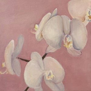 Meet your Posher, Cassandra